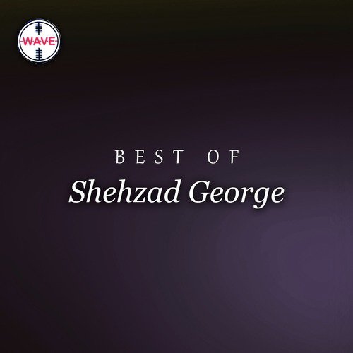 Naye Daur Se Ab Sada - Shehzad George