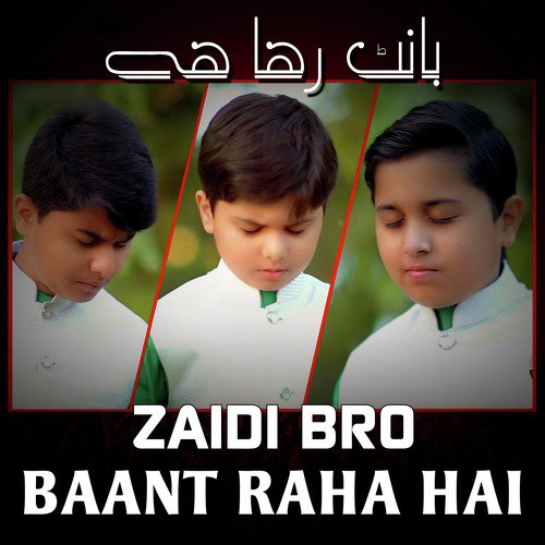 Baant Raha Hai - Zaidi Bro