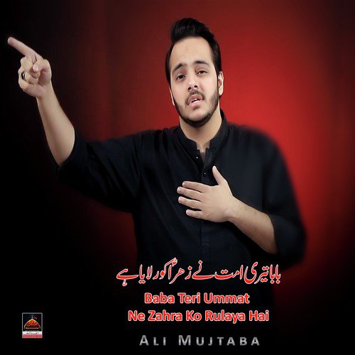 Baba Teri Ummat Ne Zahra Ko Rulaya Hai - Ali Mujtaba