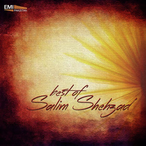 Dil Ki Muradein - Salim Shehzad