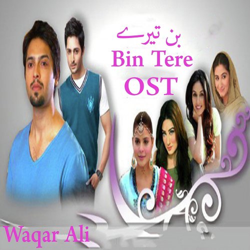 Bin Tere - Waqar Ali