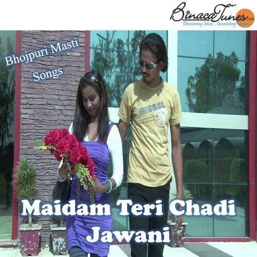 Saare Chore Is Shaadi Me - Aarif Bhati