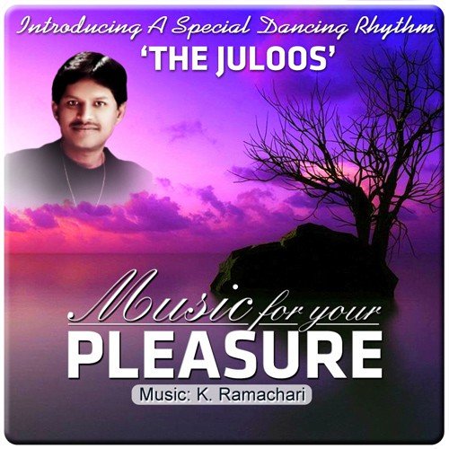 The Memorable Moments - Srinivas Bhagi, K. Ramachari
