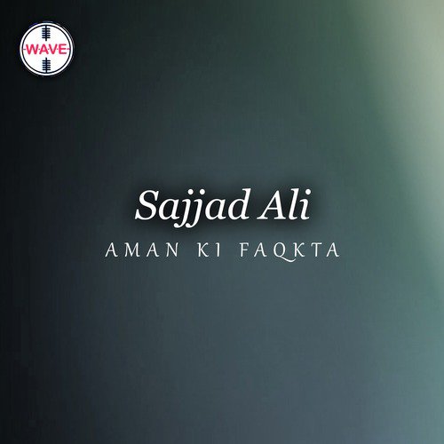Aa Chuka Hoon Tere Dar Par - Sajjad Ali, Saleem Ejaz