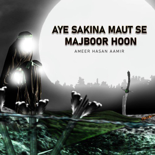 Aye Baad E Saba Ja - Ameer Hasan Aamir