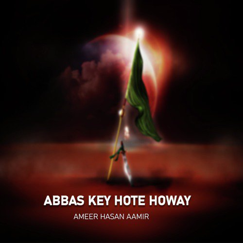 Tanhast Hussain - Ameer Hasan Aamir