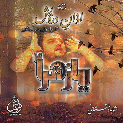 Haye Haye Zainab Haye Haye Sham - Shahid Hussain Baltistani