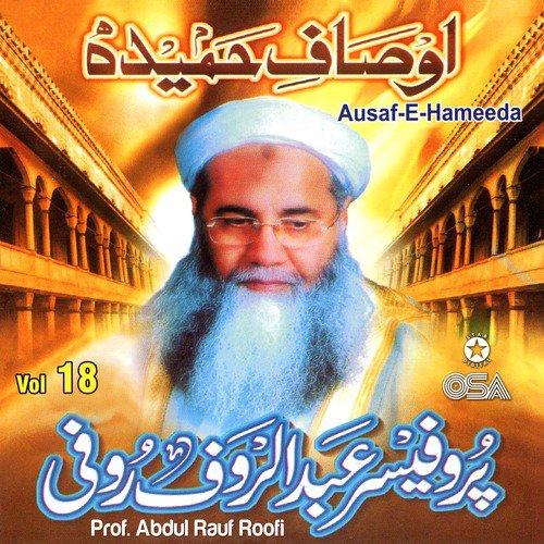 Sarkar Ke Dewane Jab Jaate Hain - Prof. Abdul Rauf Roofi