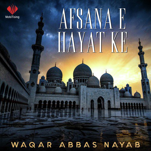 Rab De Habiba Sare - Waqar Abbas Nayab