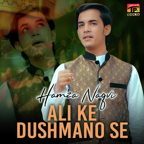 Ali Ke Dushmano Se - Hamza Naqvi