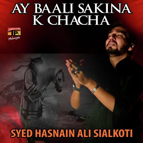 Kesa Wo Samaa - Syed Hasnain Ali Sialkoti