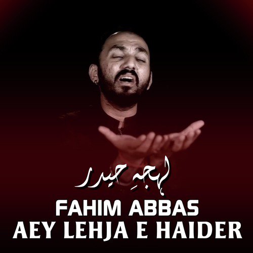 Do Waari - Fahim Abbas