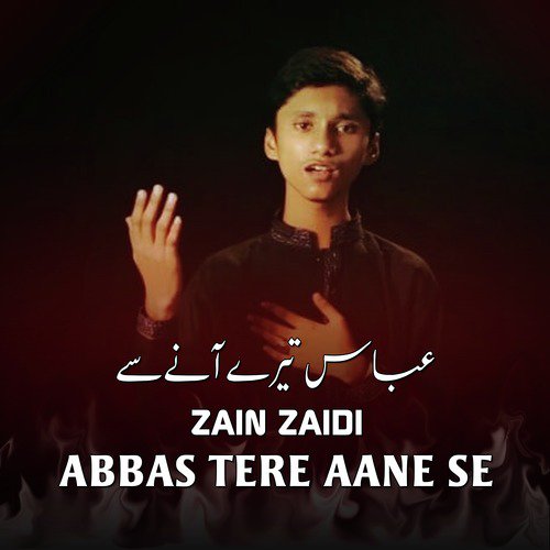 Suno - Zain Zaidi