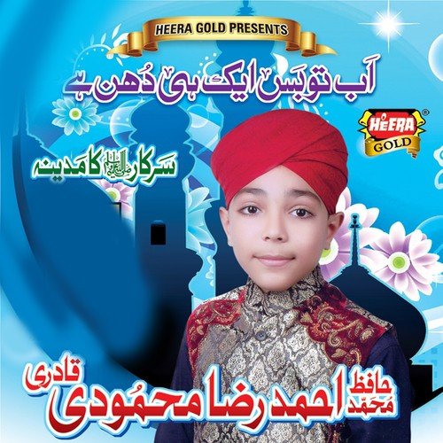 Ishq Ke Rang Main - Ahmed Raza Mehmoodi Qadri