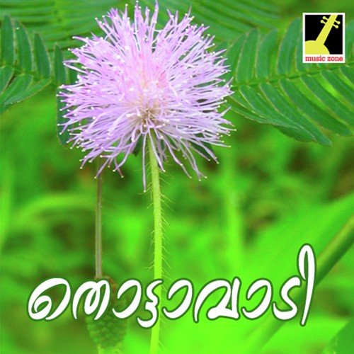 Parvathi Kutty - Satheesh Rajapuram