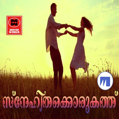 Niyalayi Vannoru - Various Artists