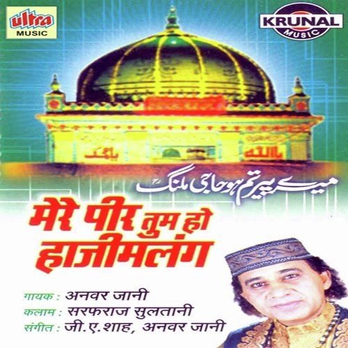Dulah Ke Daman Mein - Anwar Jani