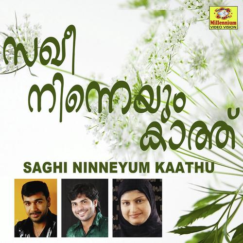 Annu Nammal - Shafi Kollam