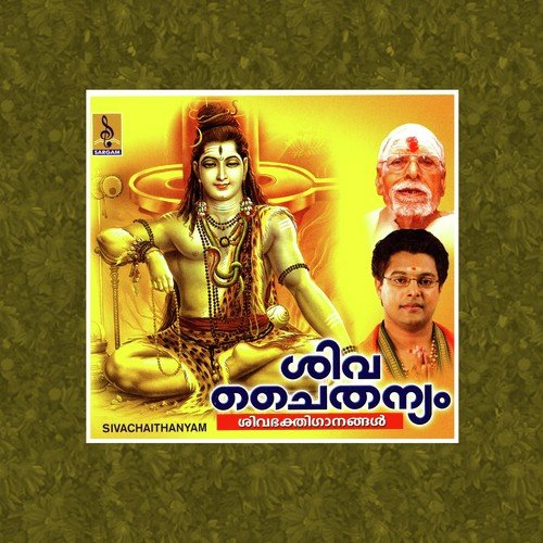 Anandalahari - Madhu Balakrishnan