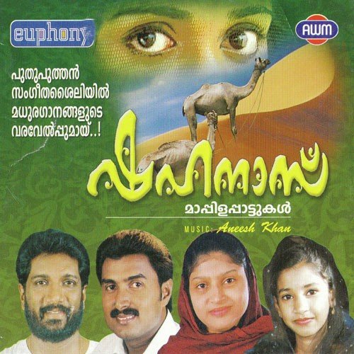 Nammilennum Nanma - Aneesh khan