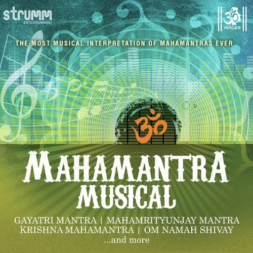 Om Namah Shivay - Om Voices