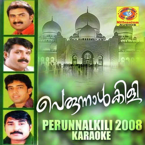 Innuperunaalin (Karaoke Version) - Various Artists