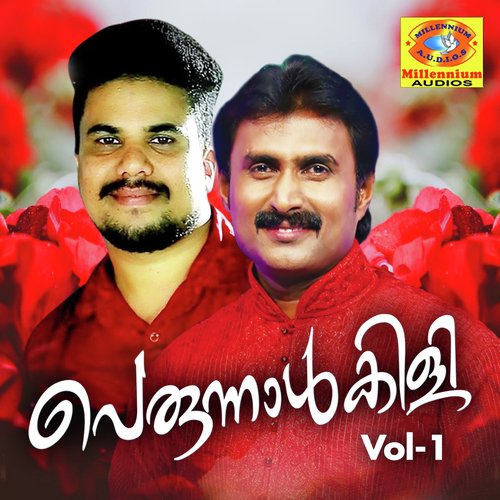 Meharunnisa - Various Artists