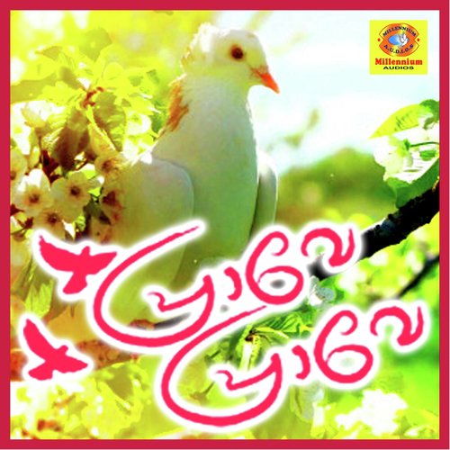 Pachamalakilimagale - Parameshwar