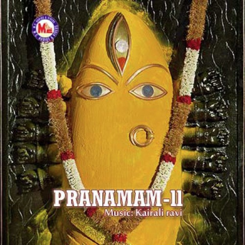 Ponkala Nalla - Various Artists