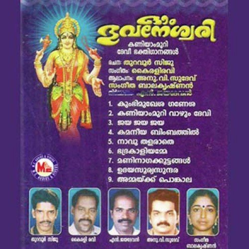 Maninaagakoottangal - Various Artists