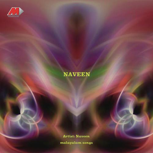 Paal Nilaavil - Naveen N. Namboodiri