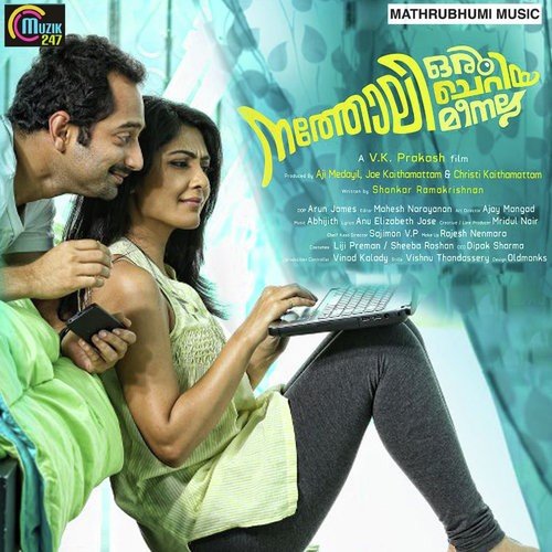Nalangal Anayumoree Neram - Abhijit Shylanath