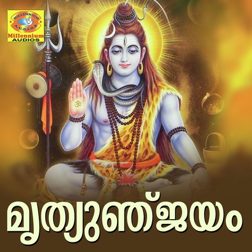 Shivarathri - Sujithkrishna