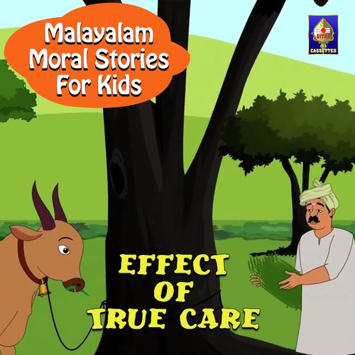 Effect of True Care - Karthika