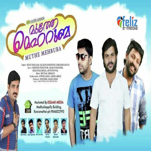 Arikath Neeyillayenkil - Shafi Kollam, Sakkeer Aluva, Sakkeer Aluva, Saleem Kodathoor, Thajudheen Vatakara, Mufsil Ammans, Na