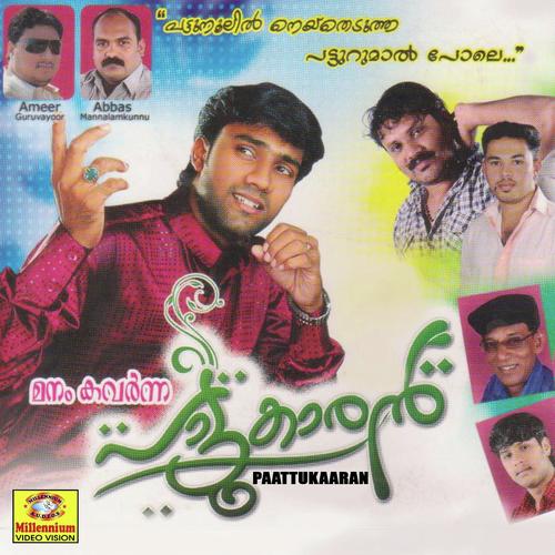 Harshilum - Shameer Mannalamkunnu