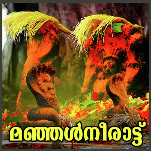 Nagapathi - Various Artists