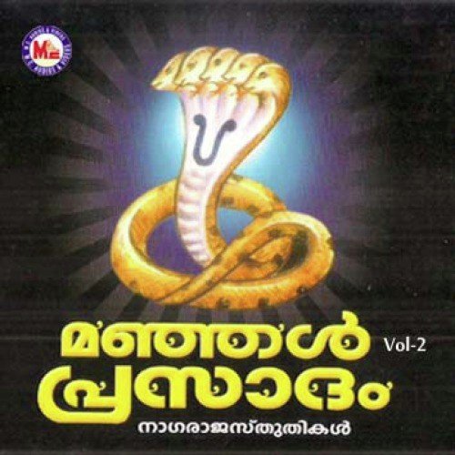 Sree Nagam Mani Naga Pooja - Various Artists