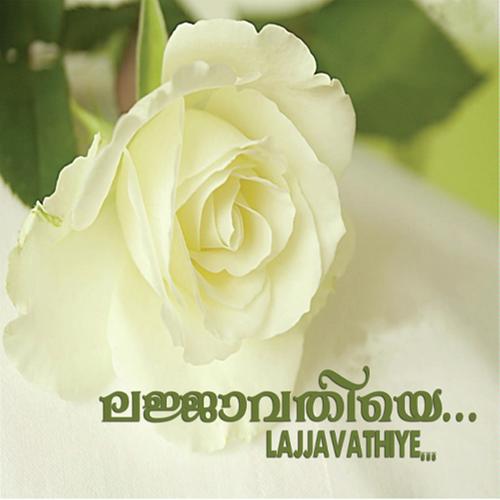 Husnul Jamal - Sindhu, Muhammed Muneer, Muhammed Muneer, Radikaa Sarathkumar, Nisar, Ansar