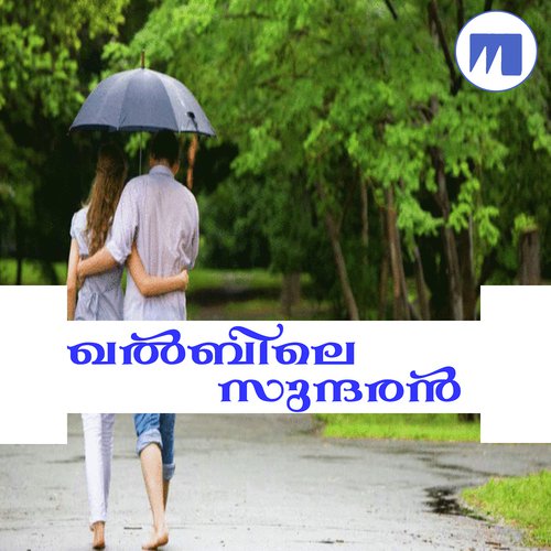 Ente Kalbil - Various Artists