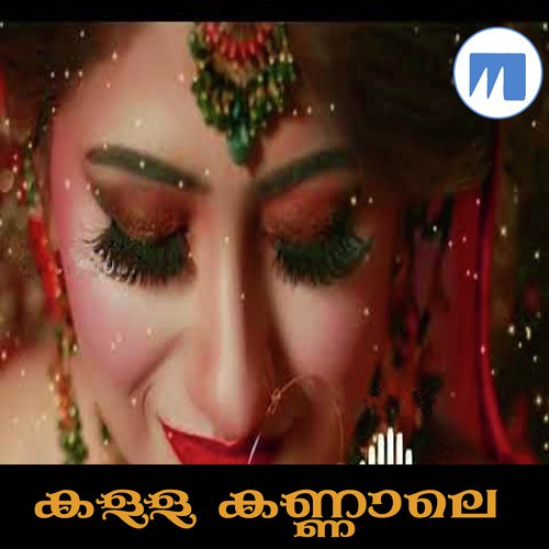 Nilavil Nee - Shanu
