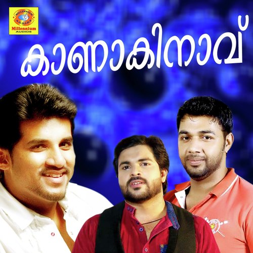 En Kanvile - Various Artists