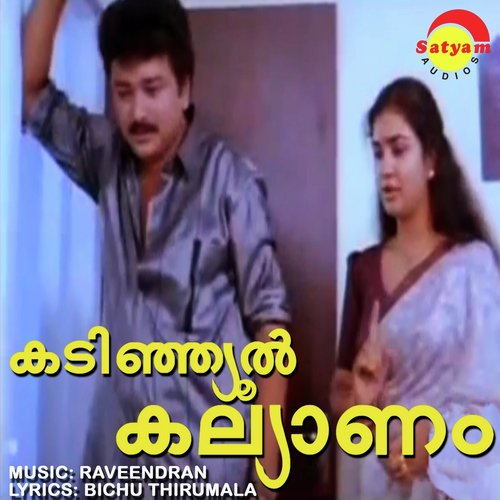 Manassil Ninnum - Raveendran