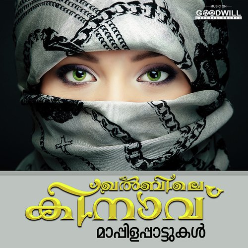 Kadlundi Puzhayoram - Various Artists
