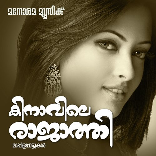 Akkare Ni Akkare - Various Artists