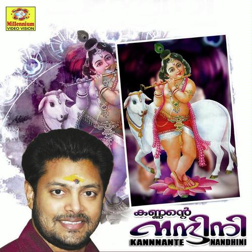 Nhanarinhilya - Madhu Balakrishnan