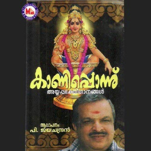 Yoganishtanaamsannyasi - P. Jayachandran
