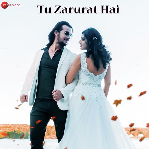 Tu Zarurat Hai - DJ Shadow Dubai, Atif Ali
