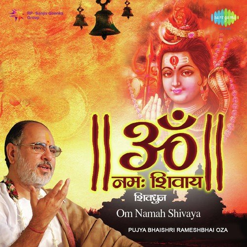Om Namah Shivay   Dhun - Sathianarayanan C.