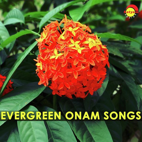 Pulari Penkody - Various Artists